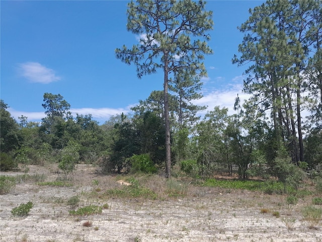 2211 SE State Road 121, Morriston, FL 32668