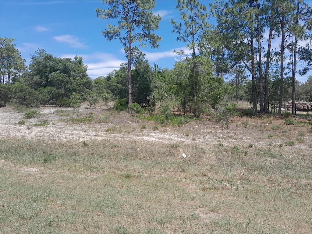 2211 SE State Road 121, Morriston, FL 32668