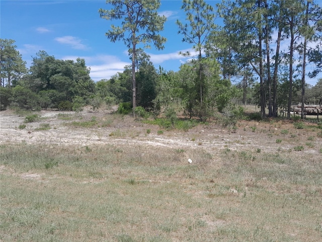 2211 SE State Road 121, Morriston, FL 32668