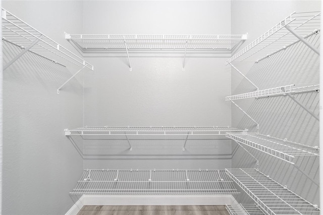 spacious closet featuring wood finished floors