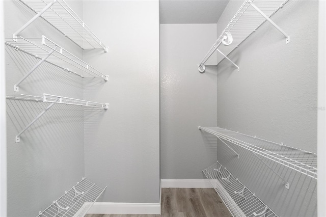 spacious closet featuring hardwood / wood-style flooring