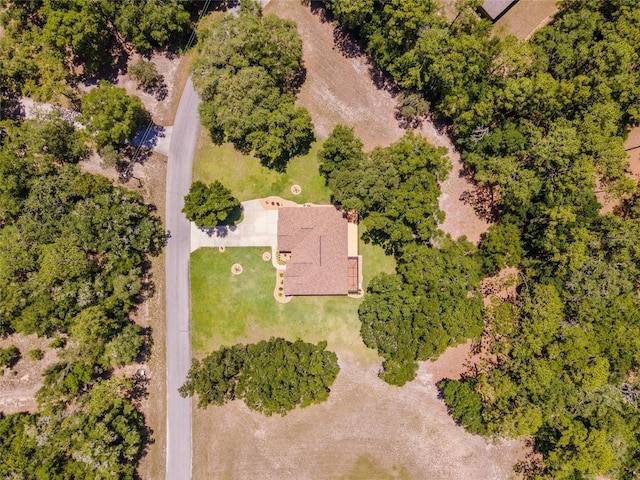 10020 SW 202nd Cir, Dunnellon, FL 34431 - bird's eye view