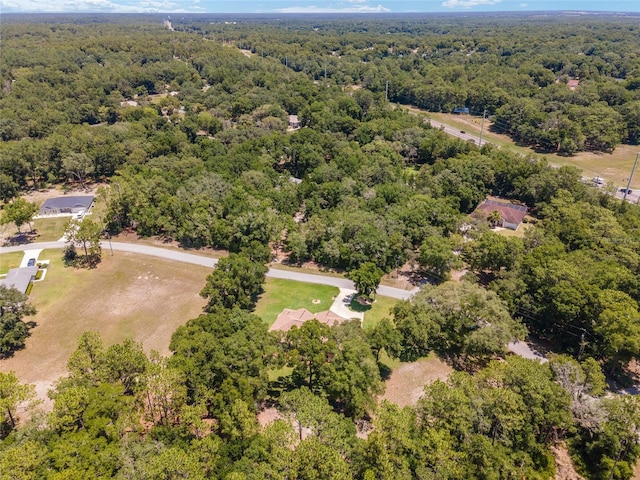 10020 SW 202nd Cir, Dunnellon, FL 34431 - bird's eye view of a heavily wooded area