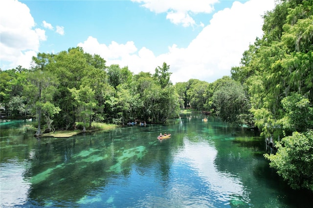 water view featuring a view of trees