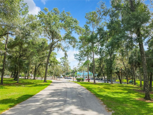 view of property's community with a lawn