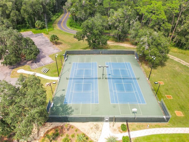 10020 SW 202nd Cir, Dunnellon, FL 34431 - aerial view