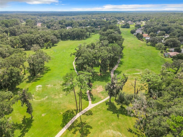 bird's eye view with a forest view