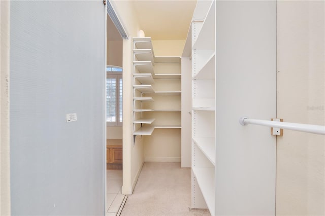 spacious closet with light colored carpet