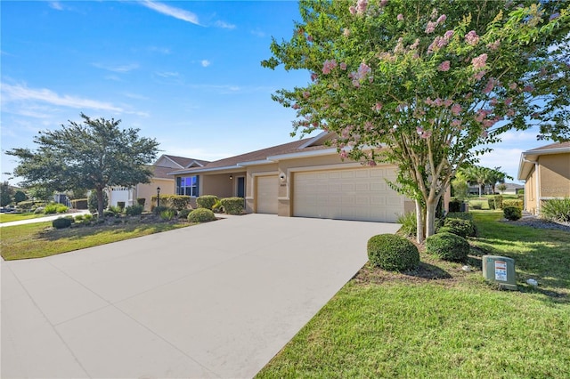 ranch-style home with a front yard and a garage