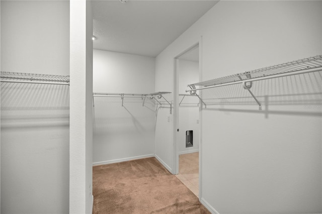 spacious closet featuring light carpet