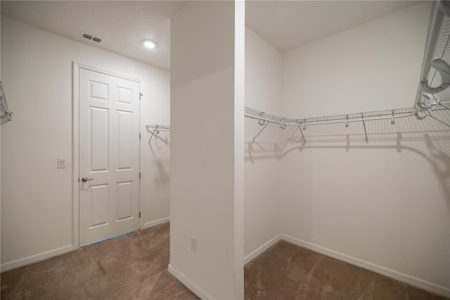 walk in closet featuring carpet flooring