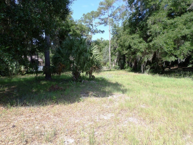 00 Blue Heron Ct, Dunnellon FL, 34432 land for sale