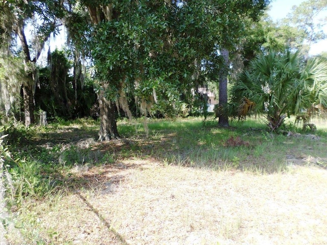 Listing photo 2 for 00 Blue Heron Ct, Dunnellon FL 34432