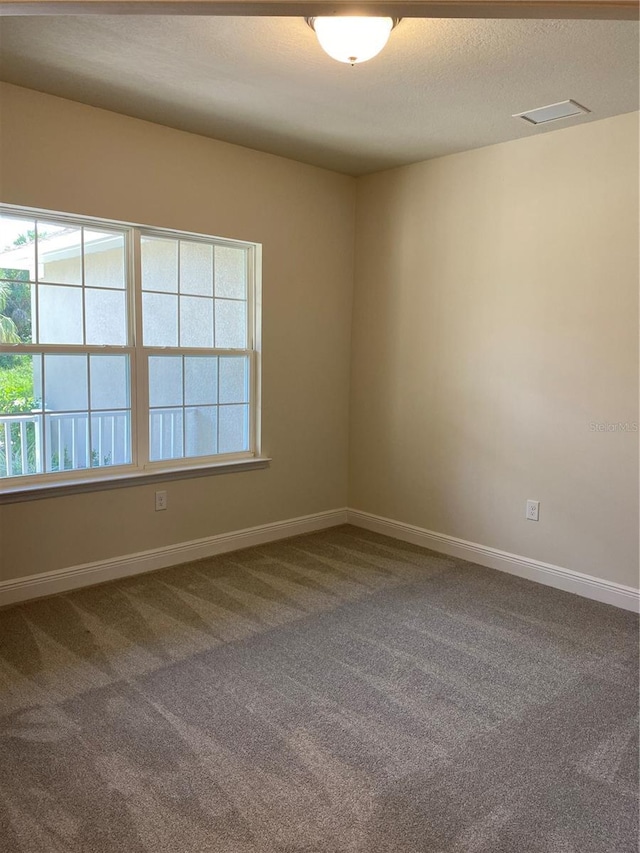 empty room with carpet, a textured ceiling, and a wealth of natural light