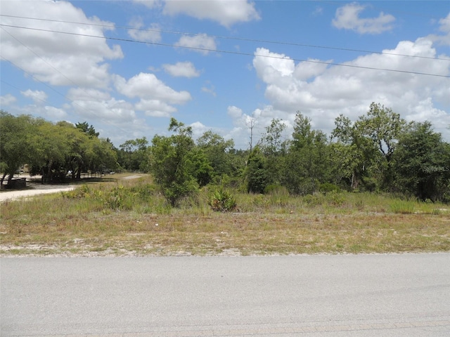 13591 NE 51st Ln, Williston FL, 32696 land for sale