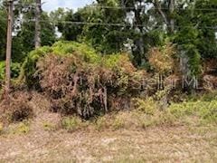 Listing photo 3 for TBD S US Highway 441, Summerfield FL 34491