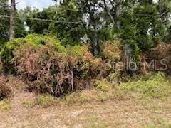 Listing photo 2 for TBD S US Highway 441, Summerfield FL 34491