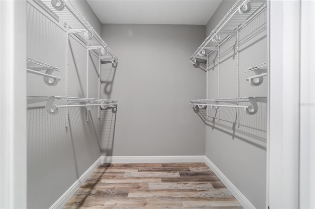 walk in closet featuring hardwood / wood-style flooring