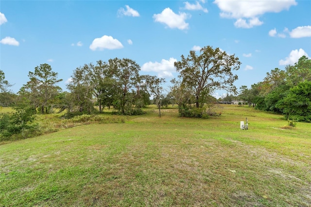 view of yard featuring a rural view