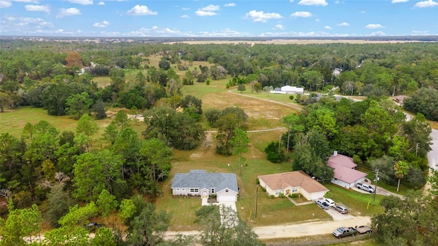 bird's eye view