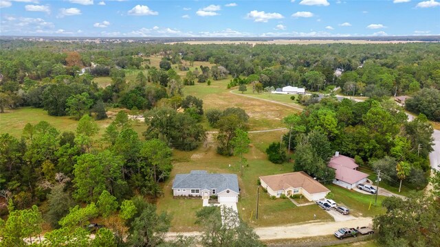 840 NE 10th Cir, Williston, FL 32696 - photo 59