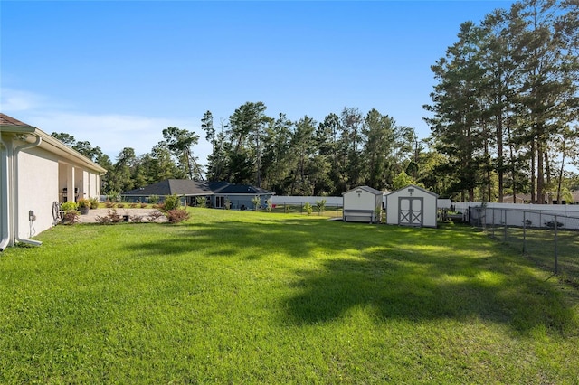 view of yard featuring a storage shed