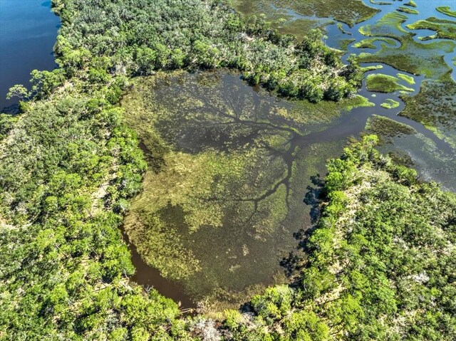 00000 Clark Is, Cedar Key, FL 32625 - photo 4