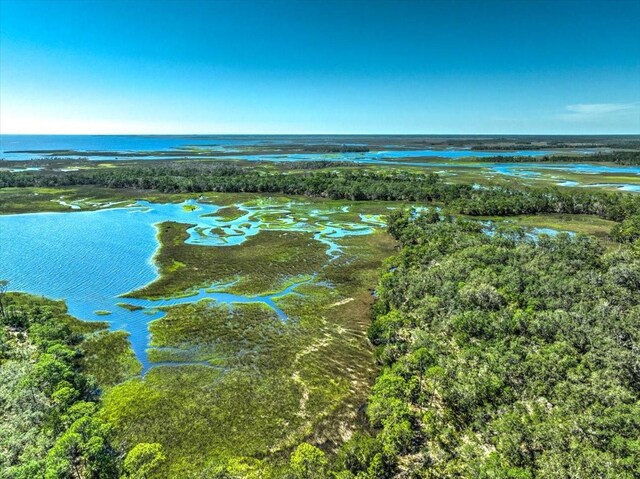 00000 Clark Is, Cedar Key, FL 32625 - photo 10