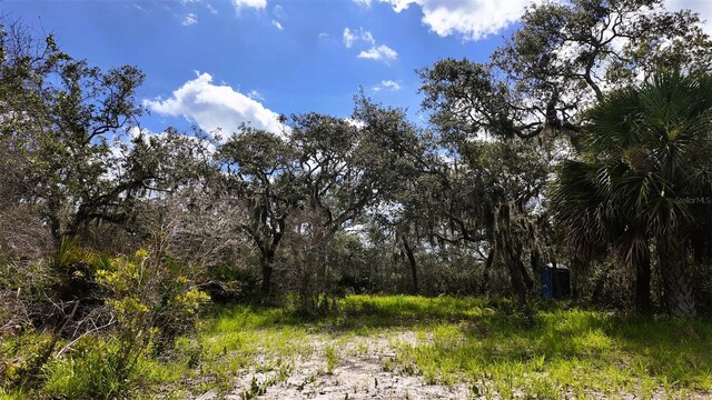 00000 Clark Is, Cedar Key, FL 32625 - photo 19