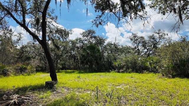 00000 Clark Is, Cedar Key, FL 32625 - photo 20