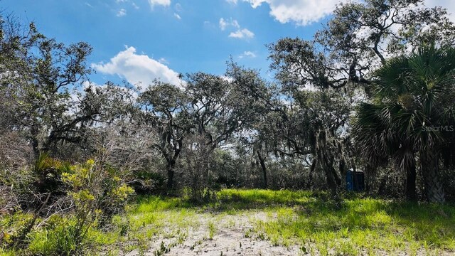 00000 Clark Is, Cedar Key, FL 32625 - photo 21