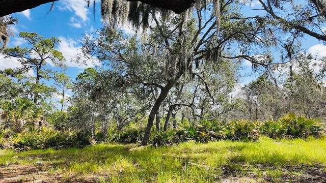 00000 Clark Is, Cedar Key, FL 32625 - photo 22