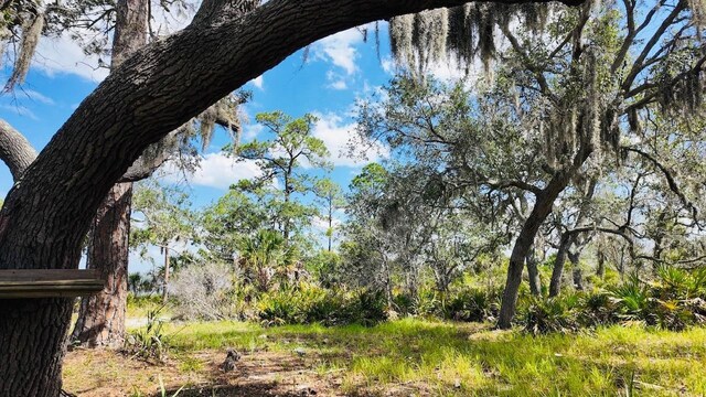 00000 Clark Is, Cedar Key, FL 32625 - photo 23