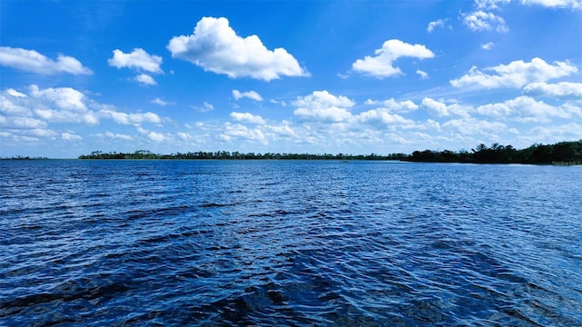 00000 Clark Is, Cedar Key, FL 32625 - photo 26