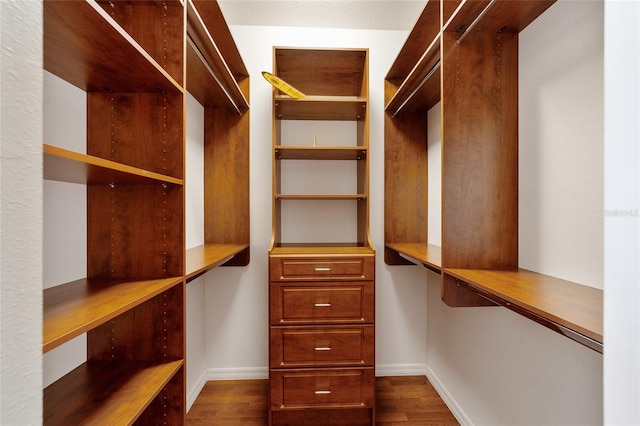 spacious closet featuring dark wood-type flooring