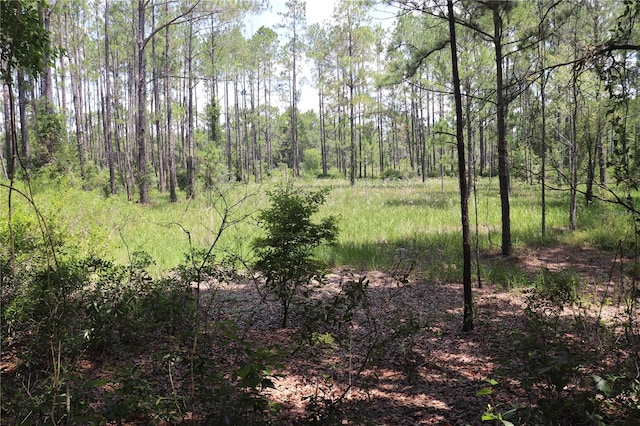 00 SW 156th Pl, Dunnellon FL, 34432 land for sale