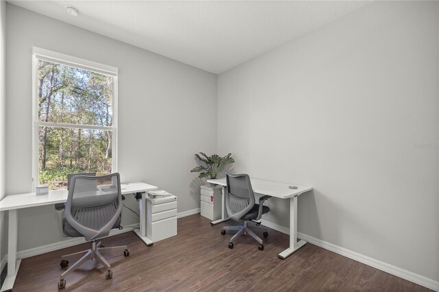 home office featuring dark hardwood / wood-style flooring