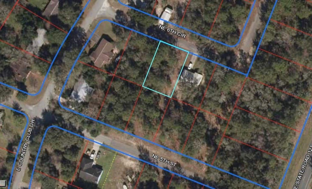 LOT6 NE 6th Cir, Williston, FL 32696 - photo 1