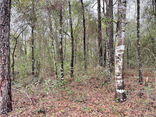 Listing photo 2 for LOT6 NE 6th Cir, Williston FL 32696