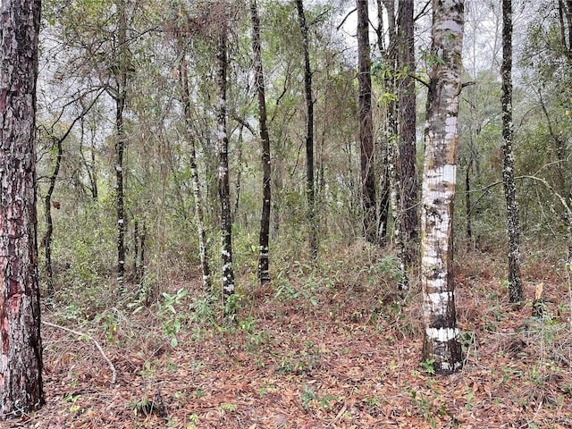 LOT6 NE 6th Cir, Williston, FL 32696 - photo 2