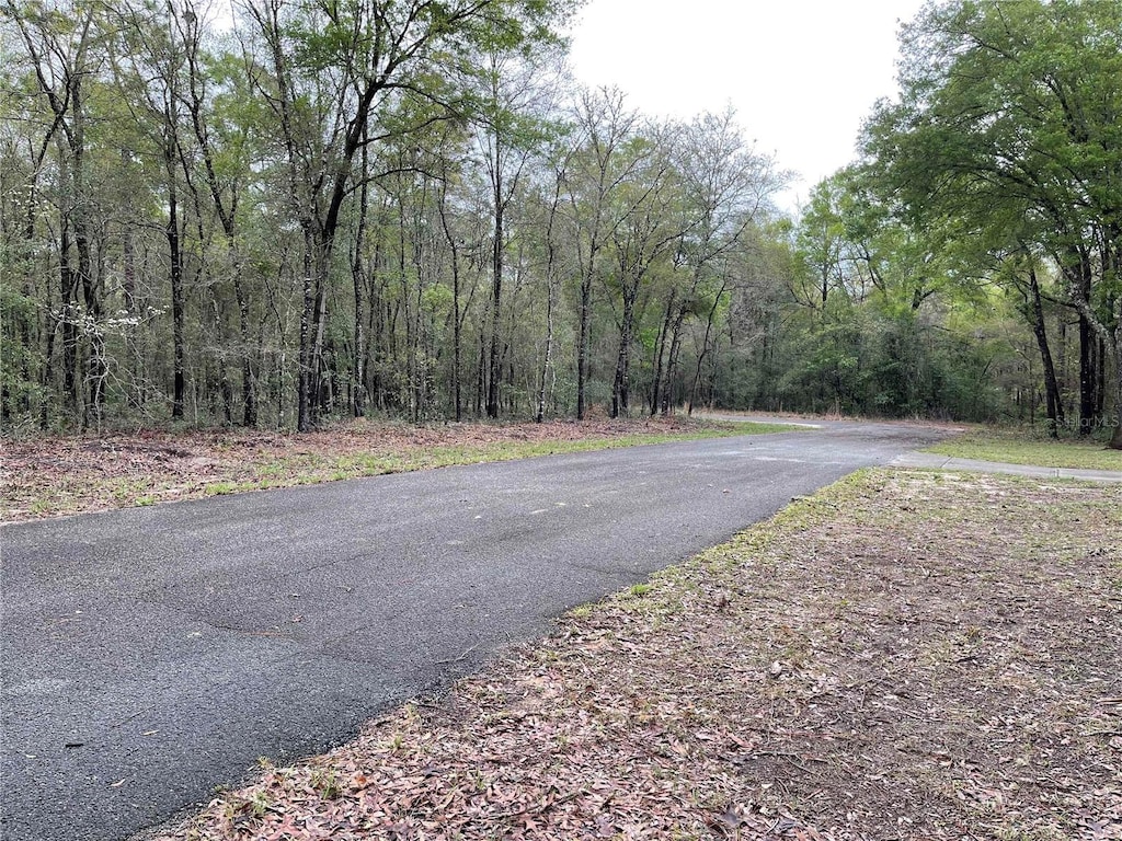 LOT6 NE 6th Cir, Williston, FL 32696 - photo 3