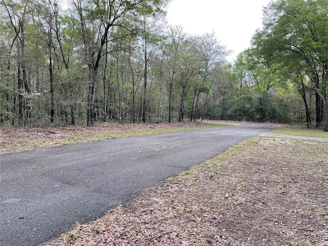 LOT6 NE 6th Cir, Williston, FL 32696 - photo 3
