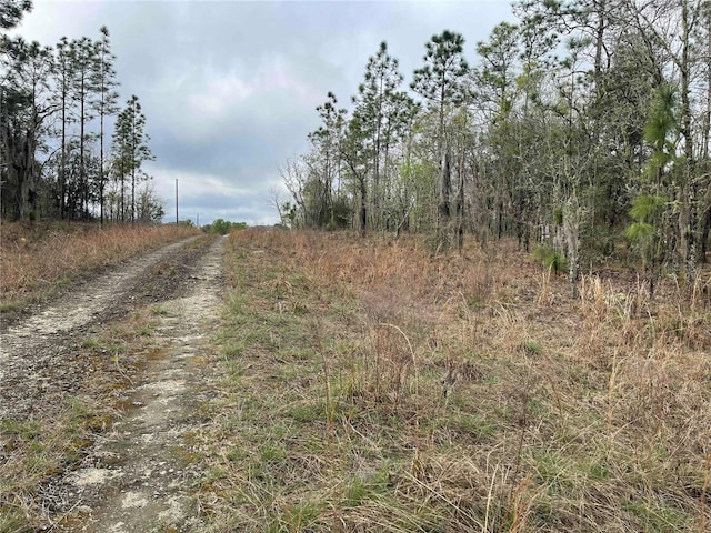 Listing photo 2 for LOT5 NE 156th Ave, Williston FL 32696