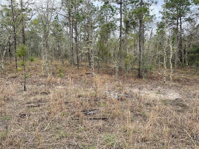 Listing photo 3 for LOT5 NE 156th Ave, Williston FL 32696