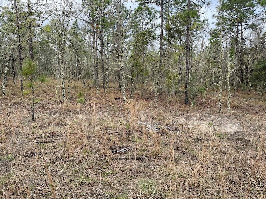 LOT5 NE 156th Ave, Williston, FL 32696 - photo 3
