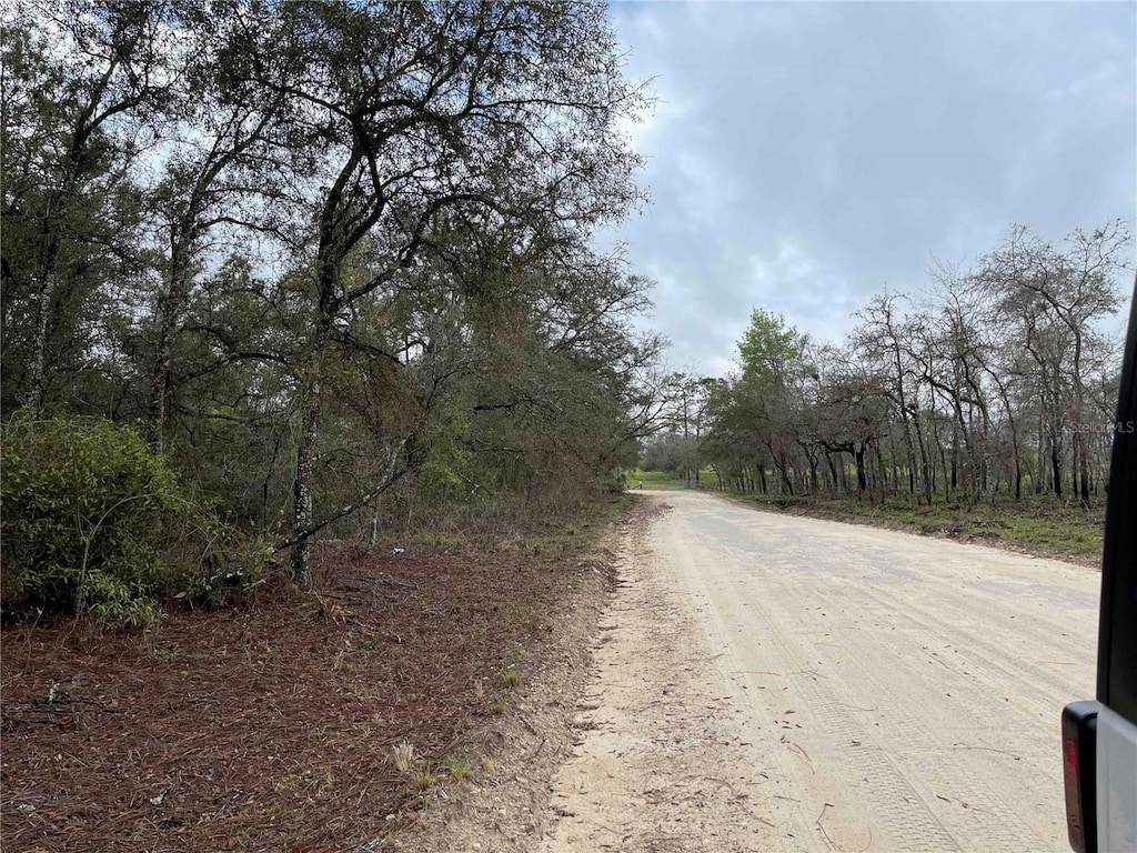 LOT8 NE 120th Ave, Williston, FL 32696 - photo 3