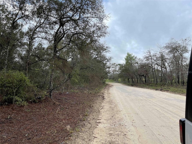LOT8 NE 120th Ave, Williston, FL 32696 - photo 3