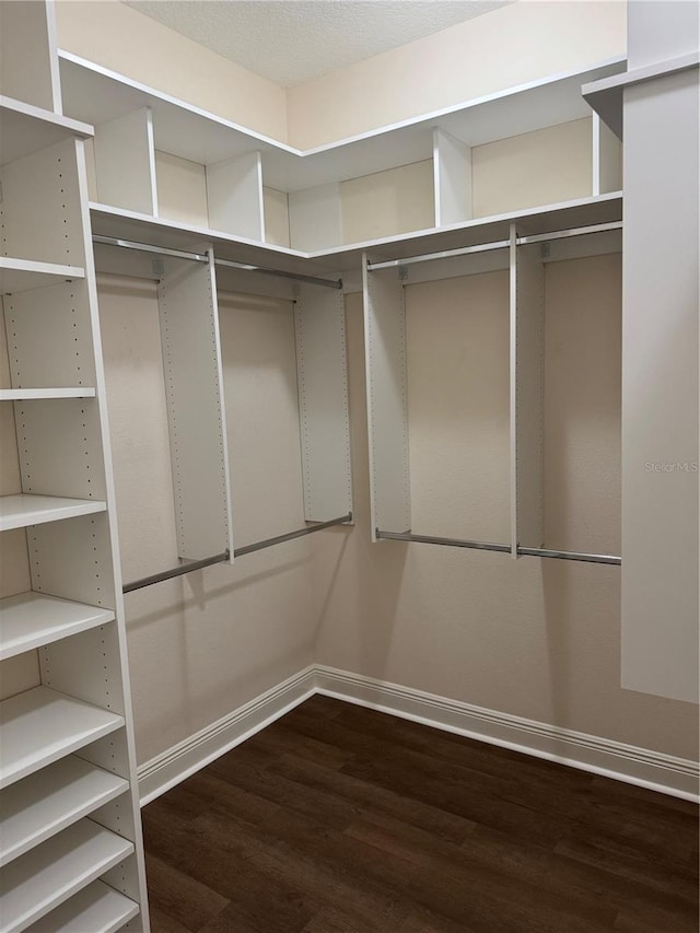 spacious closet with dark hardwood / wood-style flooring