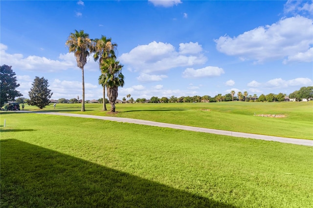 view of home's community featuring a yard