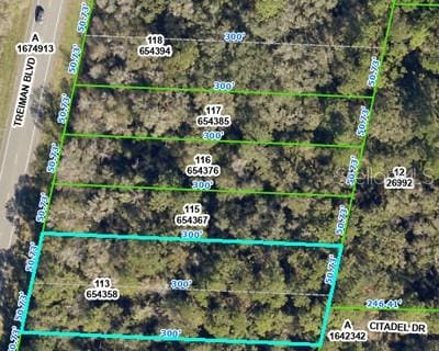 8380 Treiman Blvd, Webster FL, 33597 land for sale